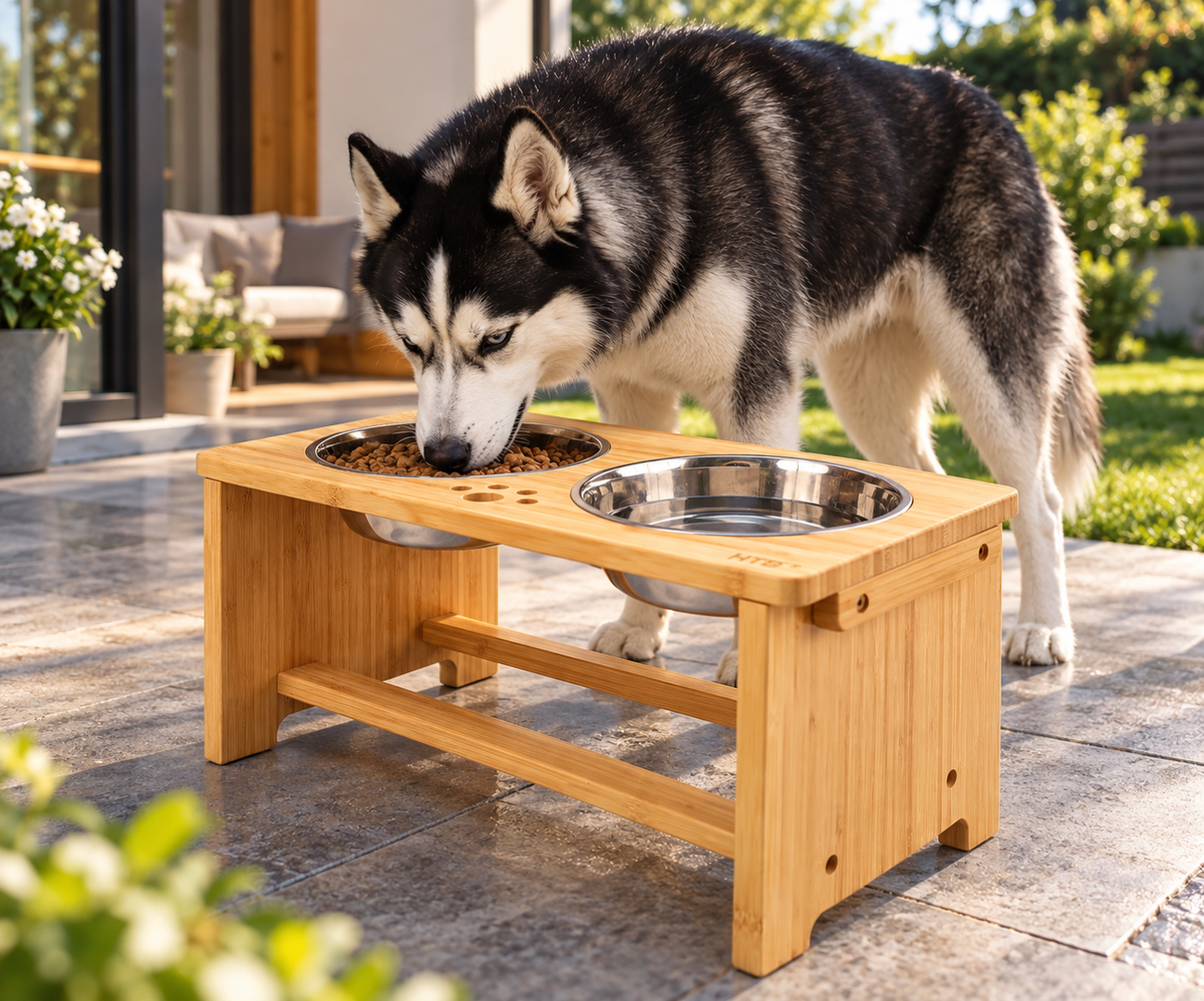 Elevated 2 Stainless Steel Bowls for Dogs and Cats